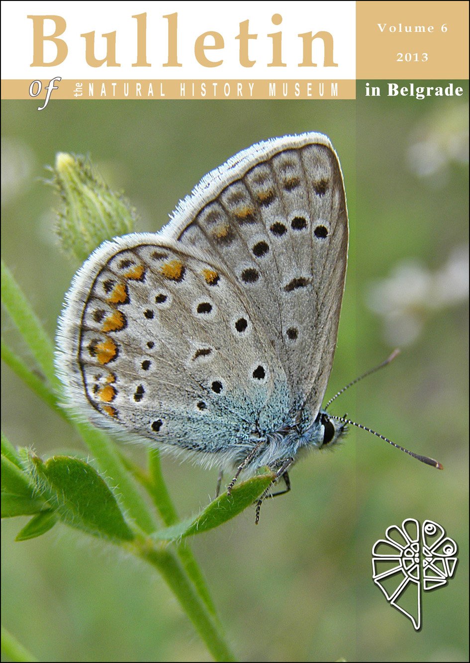 Bulletin 2013
