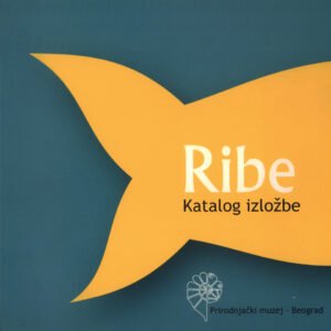Рибе