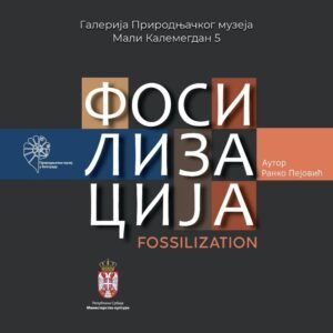 Фосилизација